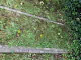 image of grave number 487535
